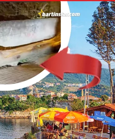 amasranın ağlayan ağacını kestiler