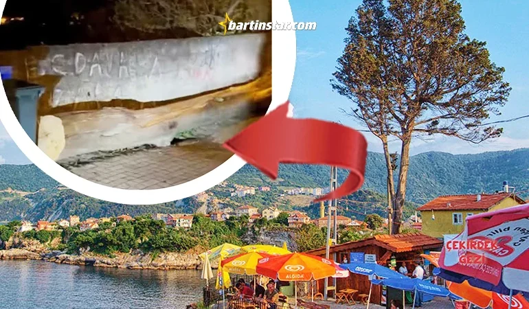 Amasra’nın “Ağlayan Ağacını” kestiler! Zehirlendi mi?