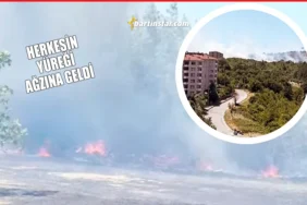 Bartın'da anız yangını ormana sıçradı