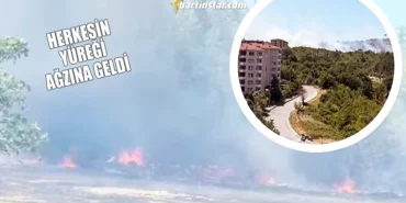 Bartın'da anız yangını ormana sıçradı