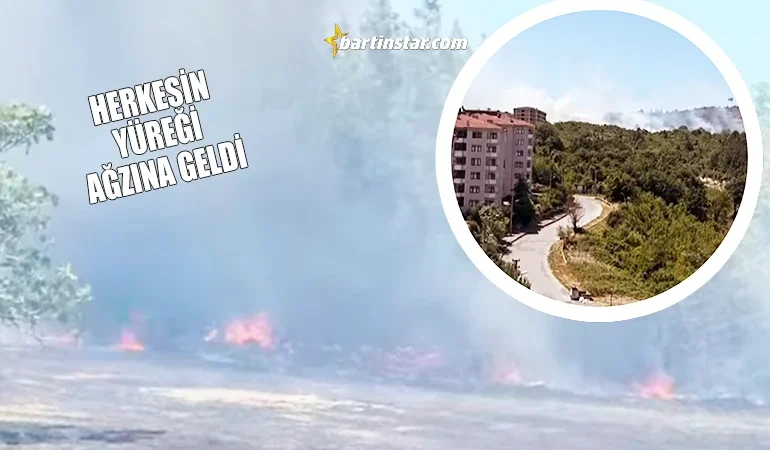 Bartın’da anız yangını ormana sıçradı