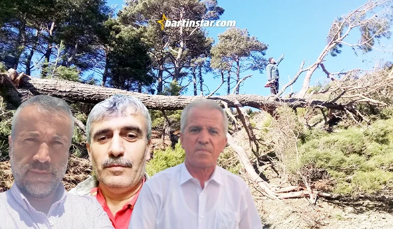 10 orman kooperatifinden Zafer’e karşı bildiri: Asılsız!