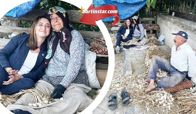 Bankoğlu sarımsak diyarı Kastamonu’da