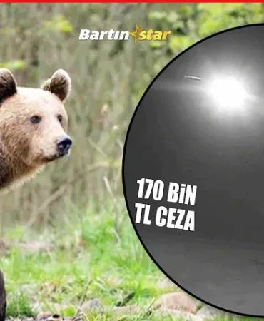 Hayvanlar için kurulan fotokapana insanlar yakalandı