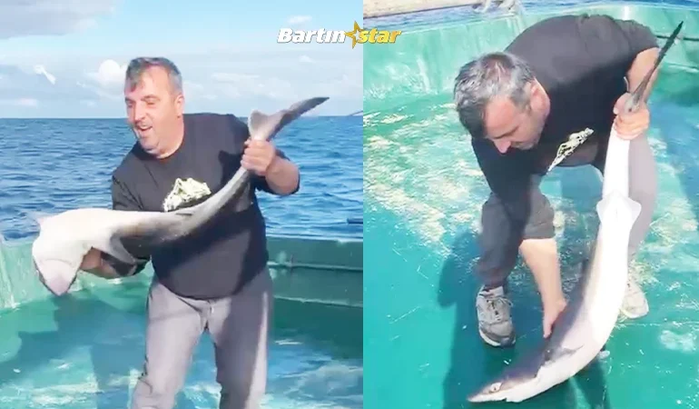 Bartınlı balıkçıların ağına bakın ne takıldı