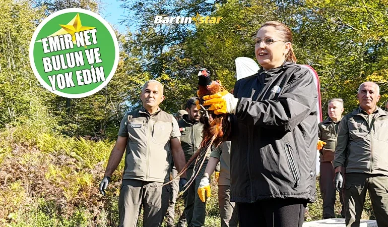Kokarca istilasına karşı sülün ordusu doğaya sürüldü