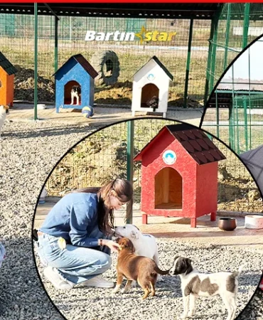 Kampüsteki hayvanlar için doğal yaşam alanı kuruldu