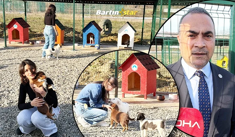 Kampüsteki hayvanlar için doğal yaşam alanı kuruldu