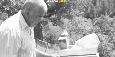 Ulus’ta ölümlü kaza Kestiği ağacın altında kaldı