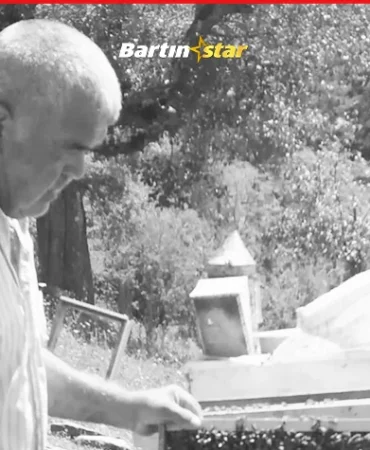 Ulus’ta ölümlü kaza Kestiği ağacın altında kaldı