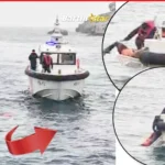 Sahip güvenlik, denizdeki esrarengiz kadını böyle çıkardı