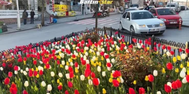 bartında lale devri