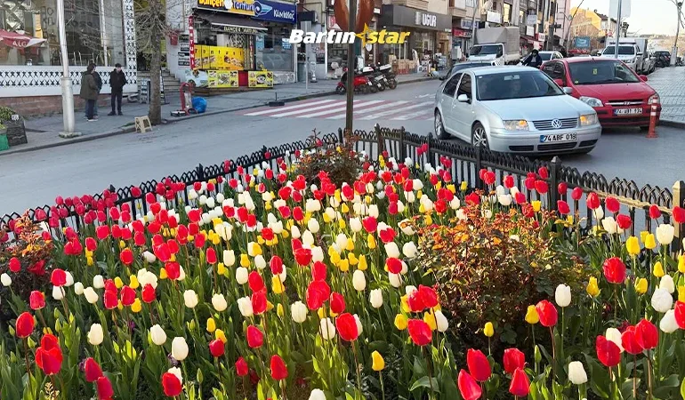 bartında lale devri