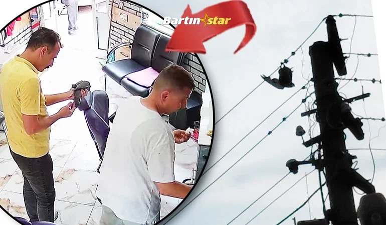 bartın kurucaşile güvercin operasyonu
