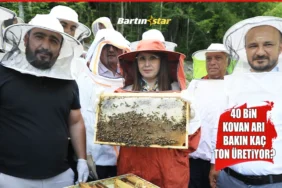 Bartın’da kestane balı sağımı başladı5