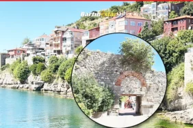 Amasra Kalesi’nin kapatan ağaçlar yeniden büyüdü