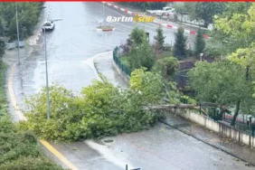Bartın'da kuvvetli rüzgar; ağaçlar devrildi