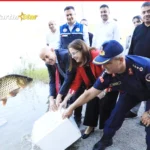 Kozcağız Barajı’na 85 bin sazan yavrusu