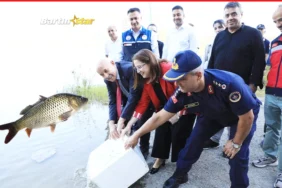 Kozcağız Barajı’na 85 bin sazan yavrusu
