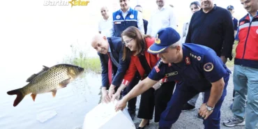 Kozcağız Barajı’na 85 bin sazan yavrusu