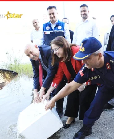 Kozcağız Barajı’na 85 bin sazan yavrusu