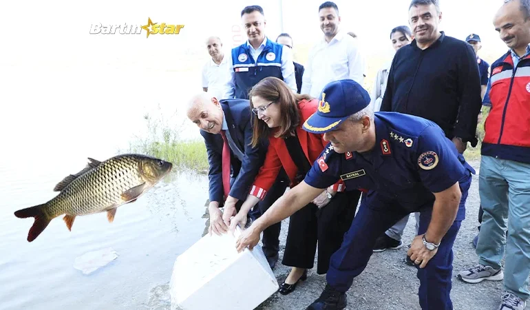 Kozcağız Barajı’na 85 bin sazan yavrusu